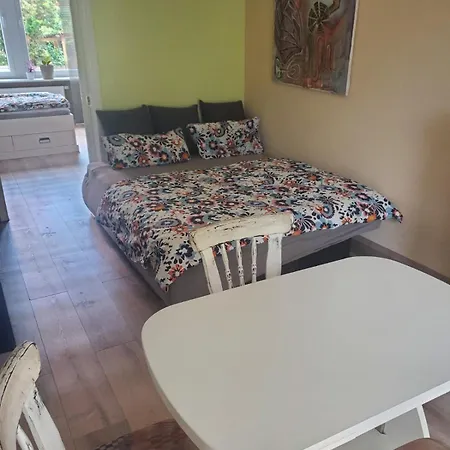 Rince Zwei Zimmer Im Stadt Altbau Mit Balkon Lahr (Baden-Wurttemberg)