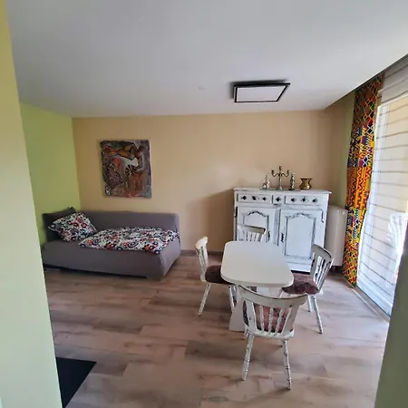Rince Zwei Zimmer Im Stadt Altbau Mit Balkon