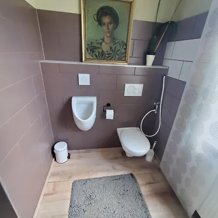 Rince Zwei Zimmer Im Stadt Altbau Mit Balkon Lahr (Baden-Wurttemberg)